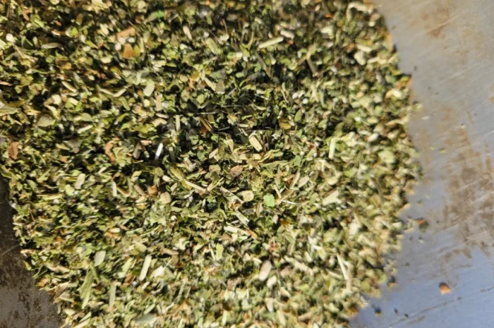 Качественная махорка - зелененький самосад- фото № 1