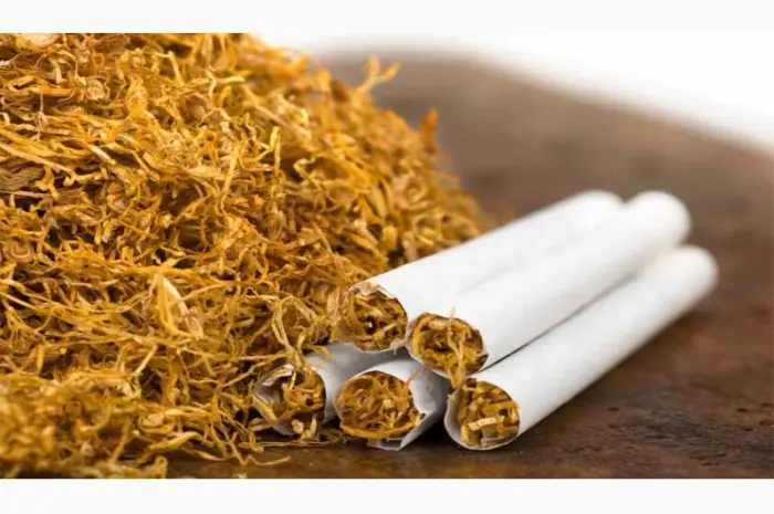 Virginia / Oriental / Marlboro / Kentucky / Bond / Winston / Davidoff- фото № 1