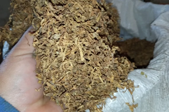 Запашный домашний табак без мусора и пилы- фото № 3