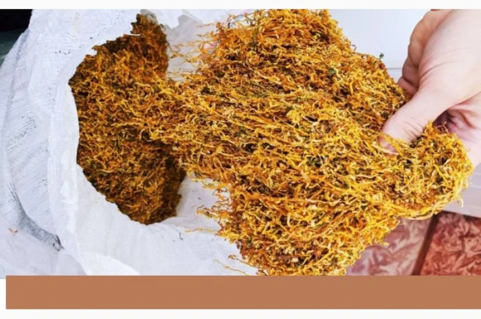 Табак Вирджиния и Золотое руно – домашний, без добавок- фото № 1