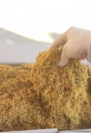 Табак Вирджиния - качественный, без химии, 700 грн за кг- фото № 1