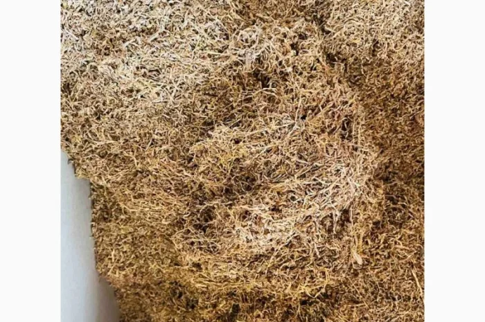 Табак Вирджиния и золотое руно без химии- фото № 4