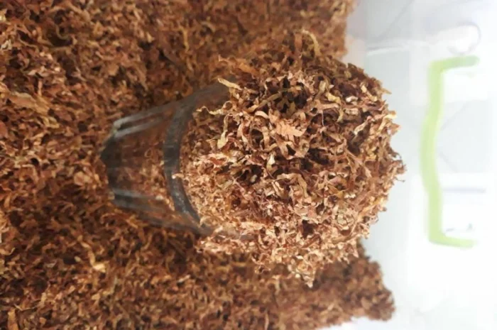 Табак для курящих - домашние сорта ХЛОПЯ в продаже- фото № 2