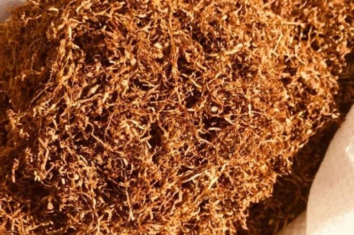 Табак для курящих - домашние сорта ХЛОПЯ в продаже- фото № 3