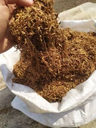 Запашний домашній тютюн без пилу – 600 грн за кг- фото № 2