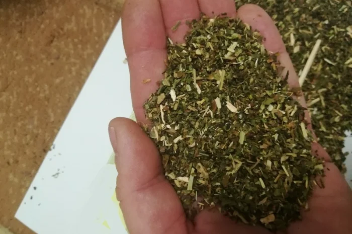 Крепкий и средний самосад Тютюн берлі вірджінія- фото № 4