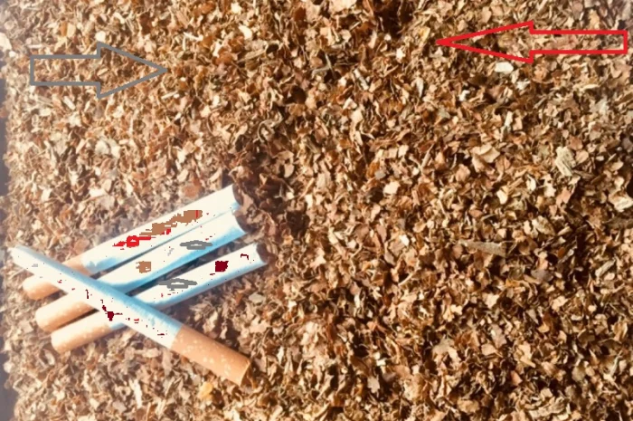 Домашний табак для самосадов - качественный и крепкий- фото № 1