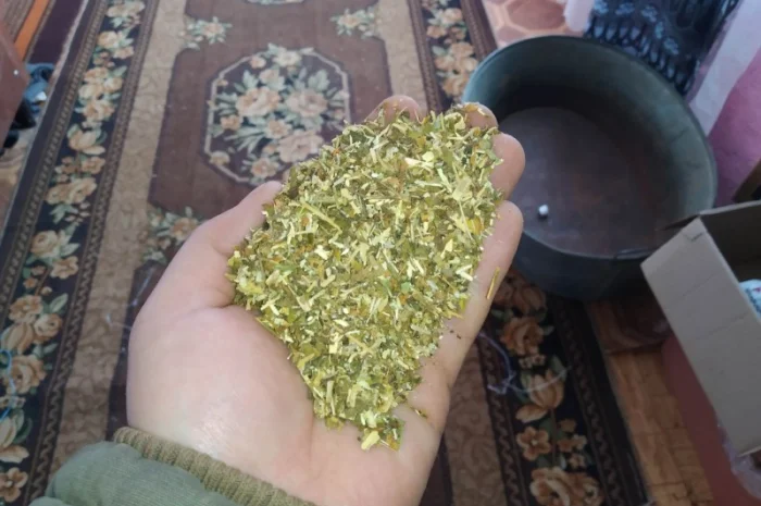 Домашний табак для самосадов - качественный и крепкий- фото № 5