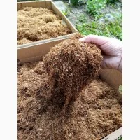 Лапша из табака для трубок и гильз- фото № 2