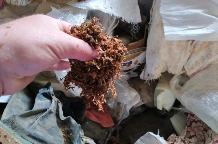 Натуральный табак без химии и добавок- фото № 4