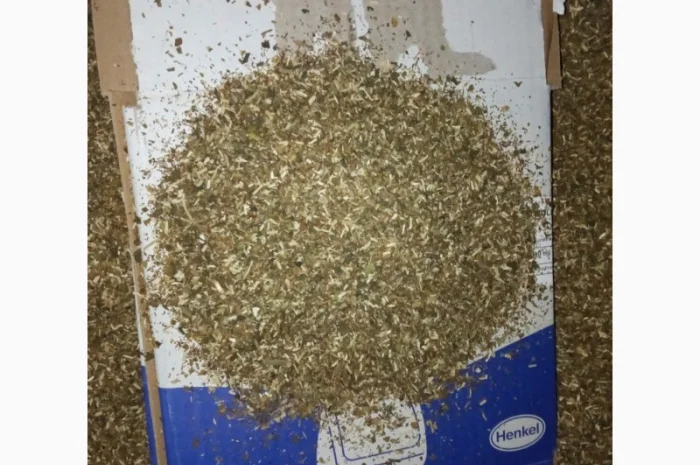 Продажа домашнего табака махорка, свежий и ароматный- фото № 4