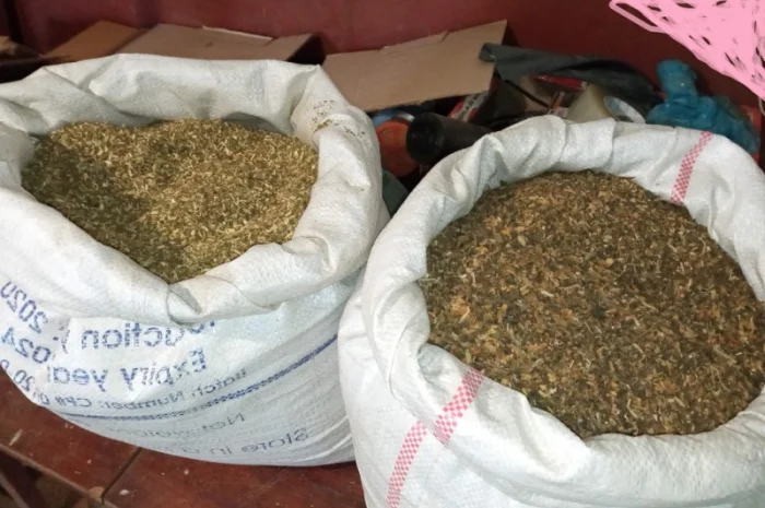 Тютюн самосад лапшою и різаний - продажа- фото № 2