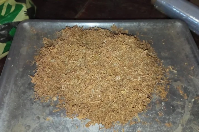 Тютюн самосад лапшою и різаний - продажа- фото № 4