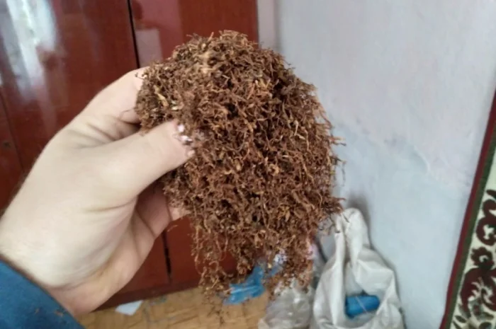 Тютюн дюбек - продажа- фото № 2