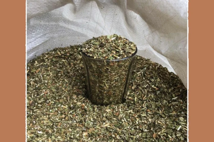 Махорка простая сельская- фото № 1