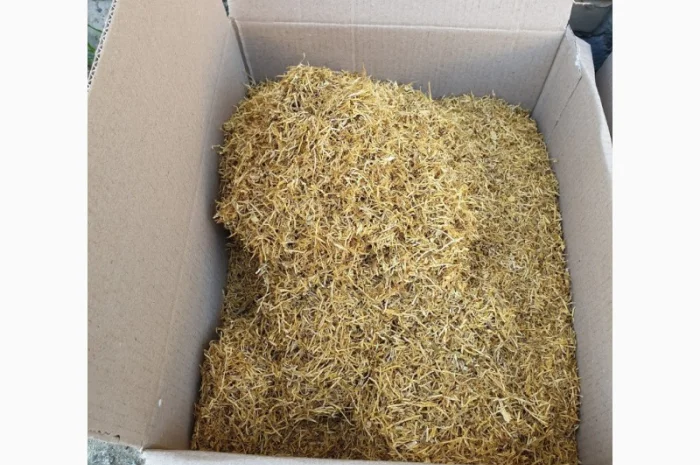 Качественный домашний табак без примесей, крепкий и средний сорт- фото № 4