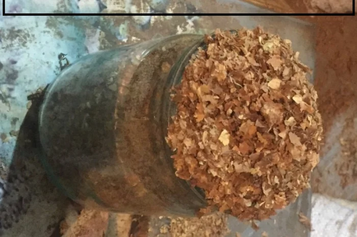 Табак домашний в наличии, Вирджиния и Берли, 100 грн/кг, не горчит- фото № 1