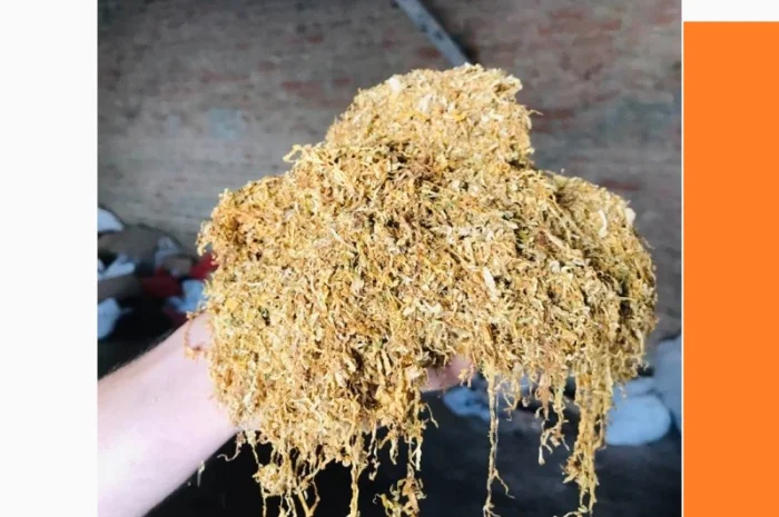 Тютюн лапшою короткою домашний без хімії Берлі і Вірджінія- фото № 1