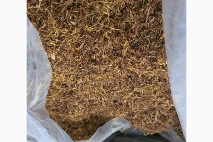 Тютюн лапшою короткою домашний без хімії Берлі і Вірджінія- фото № 2