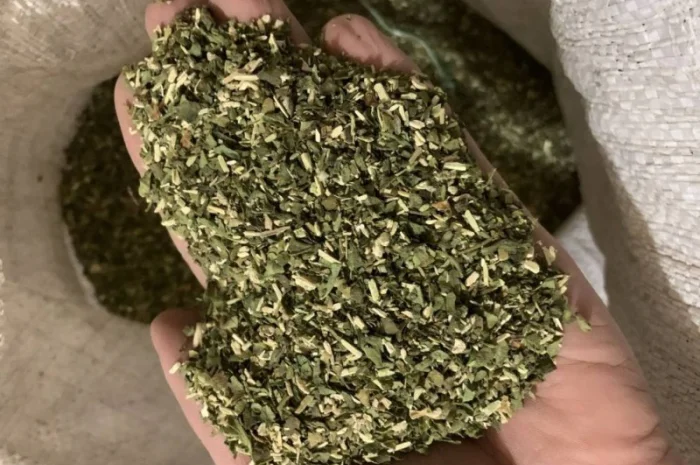 Свежий домашний табак, недорого- фото № 4