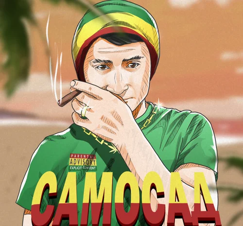 Ферментированный табак Вирджиния и Берли, отборный 700 грн за кг- фото № 1