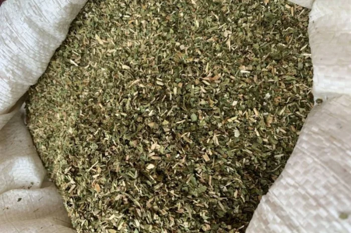 Самосад: крепкий и средний, в наличии Вирджиния и Берли- фото № 1