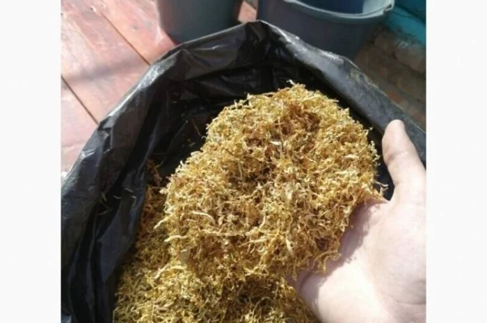 Самосад: крепкий и средний, в наличии Вирджиния и Берли- фото № 3