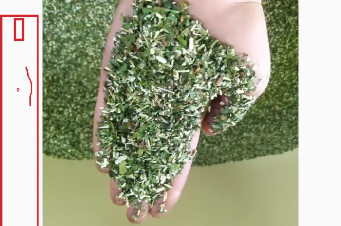 Махорка домашня ферментована, новий врожай Самосад- фото № 1