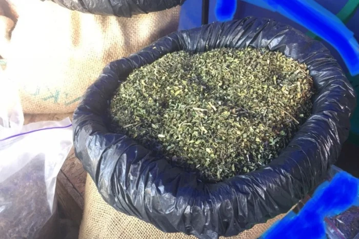 Домашній самосад – свіжий врожай- фото № 1