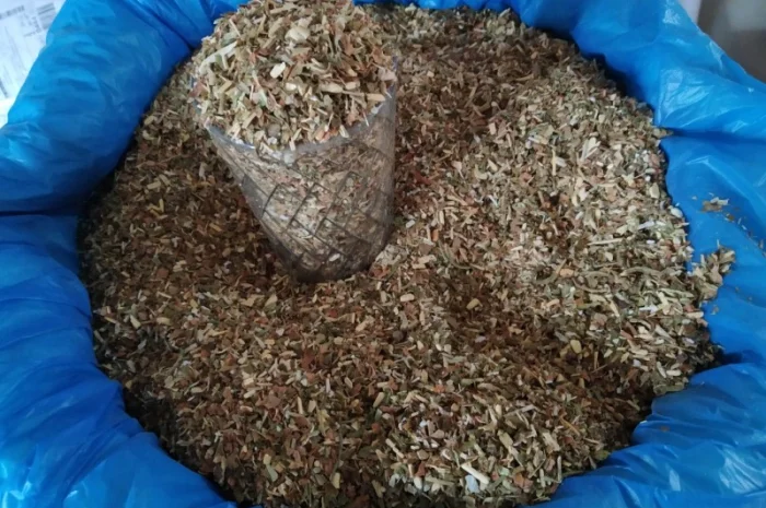 Домашній самосад – свіжий врожай- фото № 2