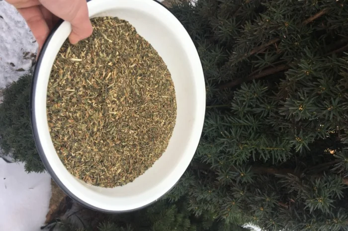 Продается тютюн Махорка 2025 года- фото № 2