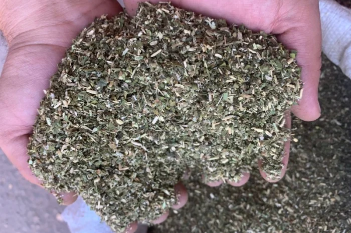 Махорка тютюн вищого сорту- фото № 1