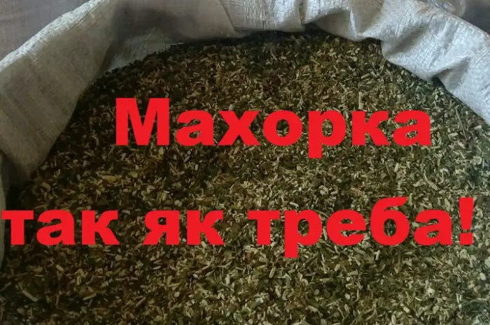 Махорка 490 грн- фото № 1