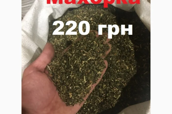 Крепкий и ароматный табак самосад- фото № 1