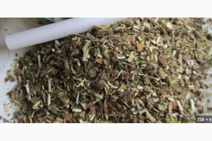 Якісний самосад - домашня махорка- фото № 1