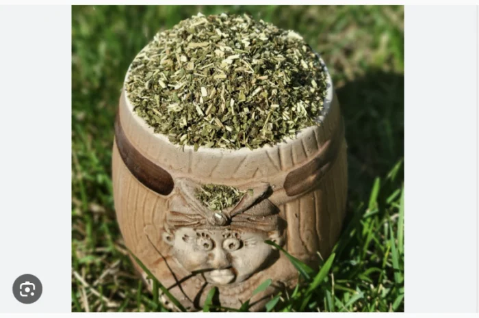 Крепкая и ароматная махорка 2025 года- фото № 1