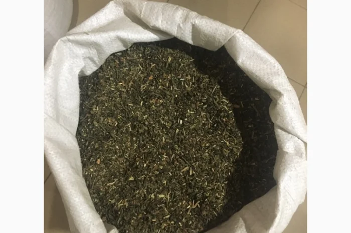 Самосад Махорка для самокруток- фото № 1