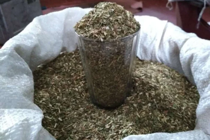 Продается махорка (самосад) высокого качества- фото № 1