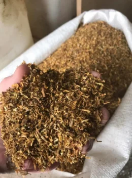 Тютюн-лапша средней крепости- фото № 1