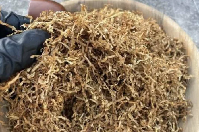 Тютюн. Продажа от 500 грамм- фото № 1