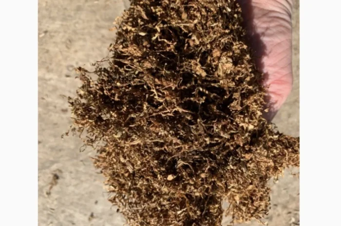 Фабричный табак – широкий ассортимент- фото № 1