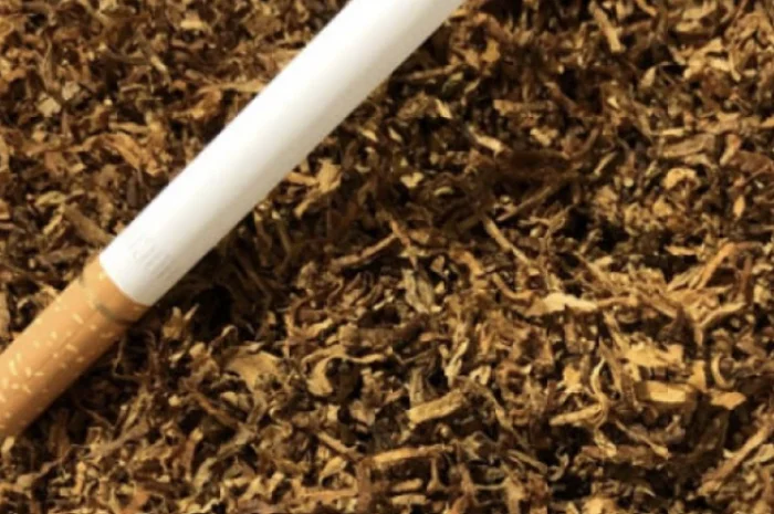 Качественный табак собственного производства различной крепости- фото № 1