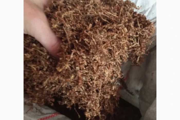 Тютюн в продажу вищого сорту- фото № 1