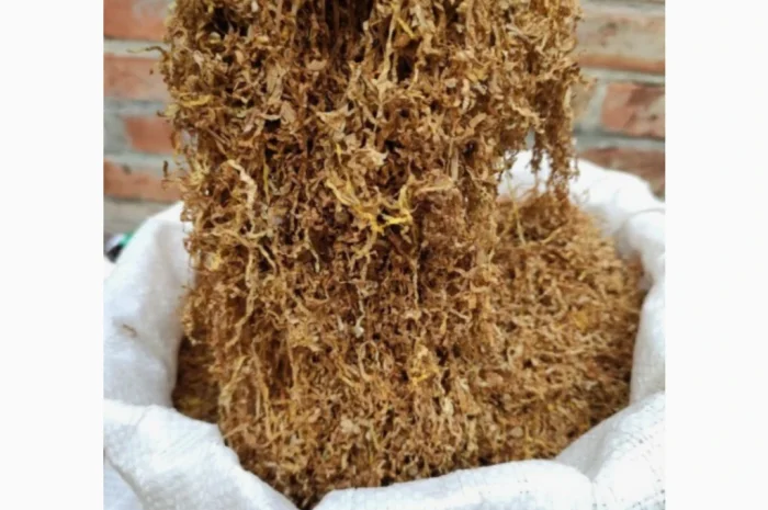 Продажа тютина нарезкой лапша Вірджинія и Берли- фото № 1