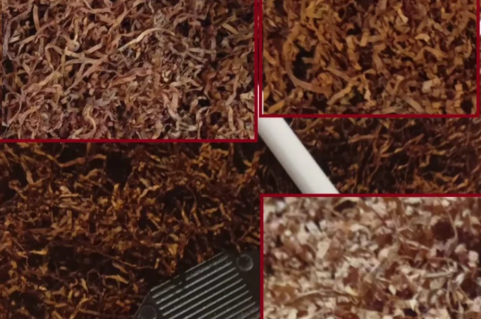 Соусированный микс «Black Power» для истинных ценителей- фото № 1