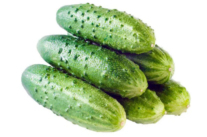 Купим огурец- фото № 1