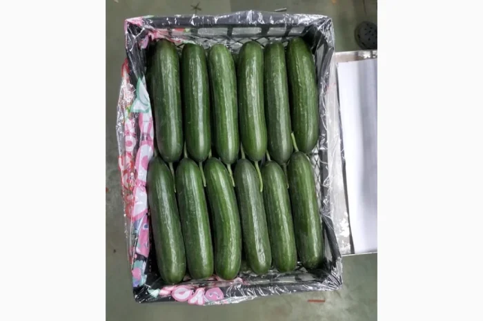 Овощи из Турции оптом- фото № 1