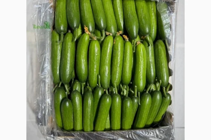 Овощи из Турции оптом- фото № 3