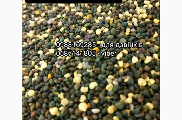 Якісний бджолиний пилок- фото № 1