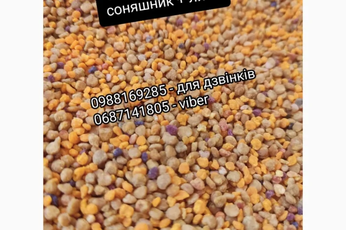 Якісний бджолиний пилок- фото № 2